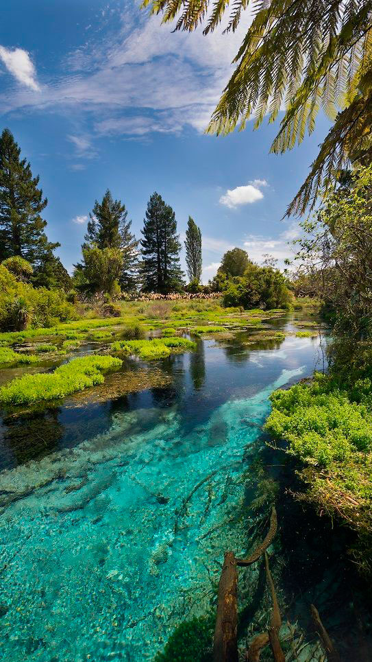 Hamurana Springs en Rotorua, Nueva Zelanda
